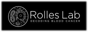rolles lab (more soft edges)